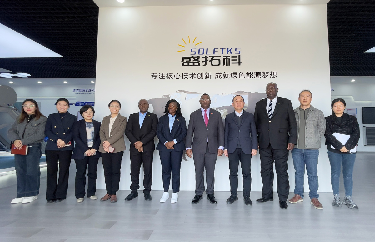 ザンビア大使がSOLETKSグループを訪問し、太陽光発電の新エネルギー協力の見通しについて協議